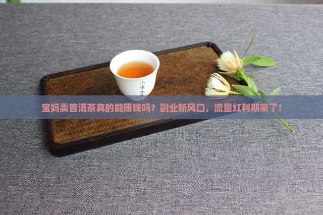 宝妈卖普洱茶怎么样