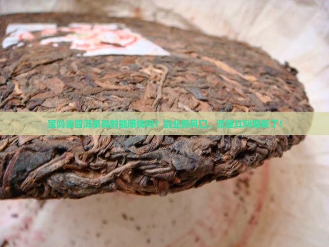 宝妈卖普洱茶怎么样