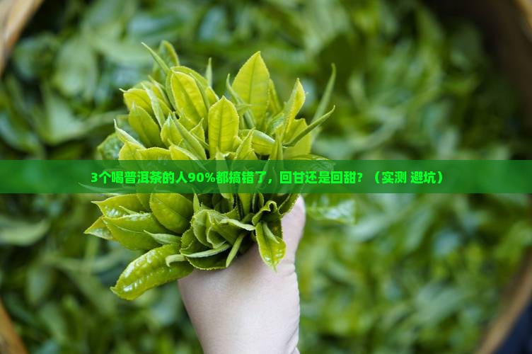喝普洱茶回甘还是回甜