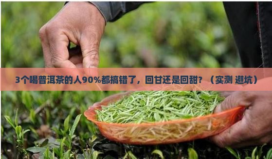 喝普洱茶回甘还是回甜