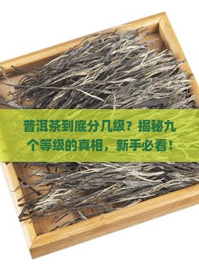 普洱茶的九个等级是什么