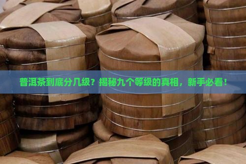 普洱茶的九个等级是什么