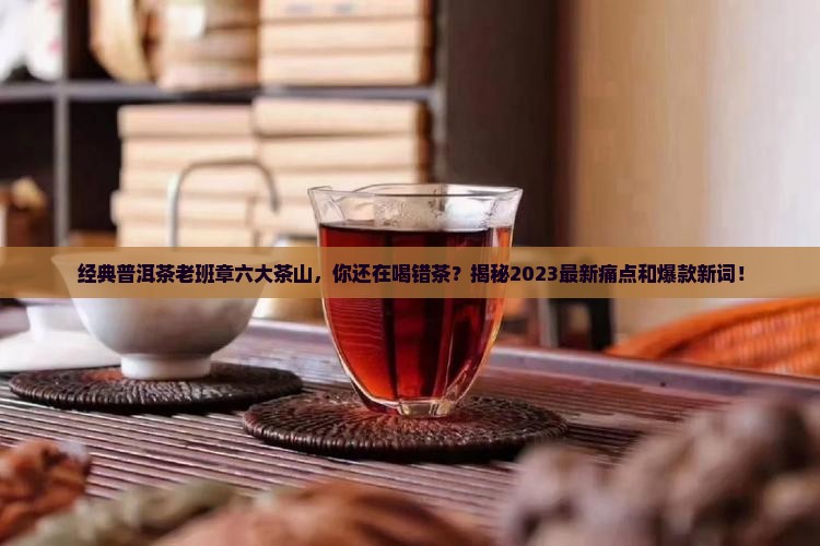 经典普洱茶老班茶六大茶山