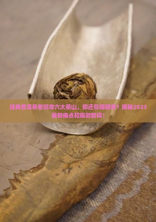 经典普洱茶老班茶六大茶山