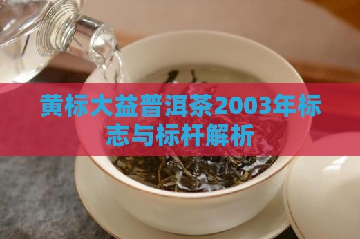 黄标大益普洱茶
