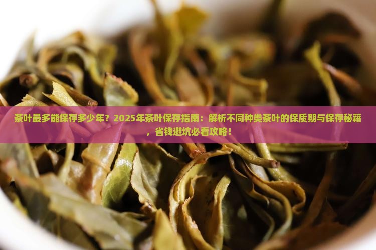 茶叶最多能保存多少年