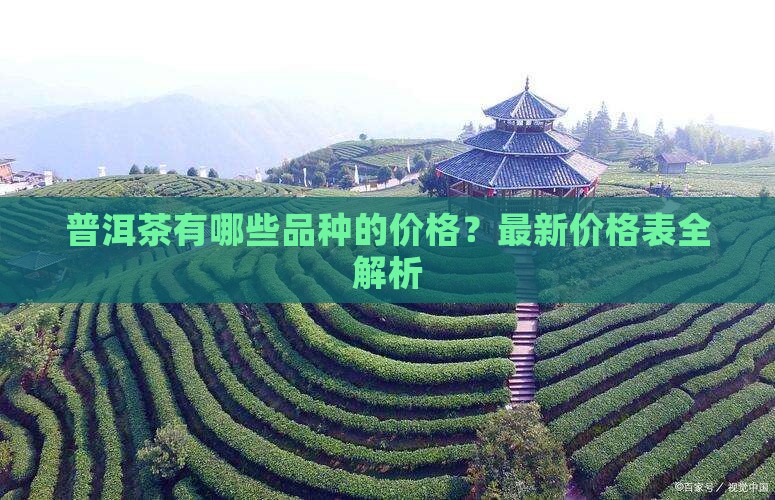 普洱茶有哪些品种的价格