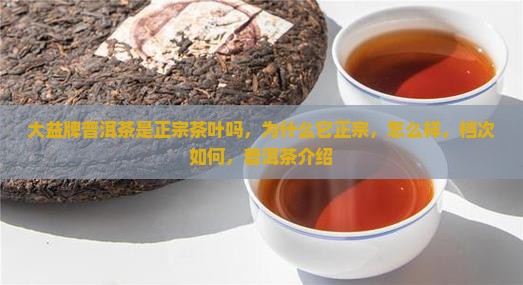 大益牌普洱茶是正宗茶叶吗