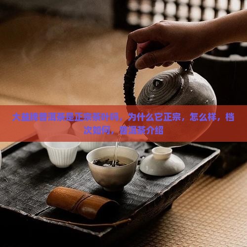 大益牌普洱茶是正宗茶叶吗