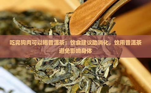 吃完狗肉可以喝普洱茶