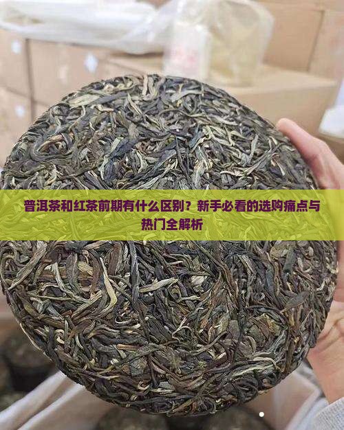 普洱茶和红茶前期的区别