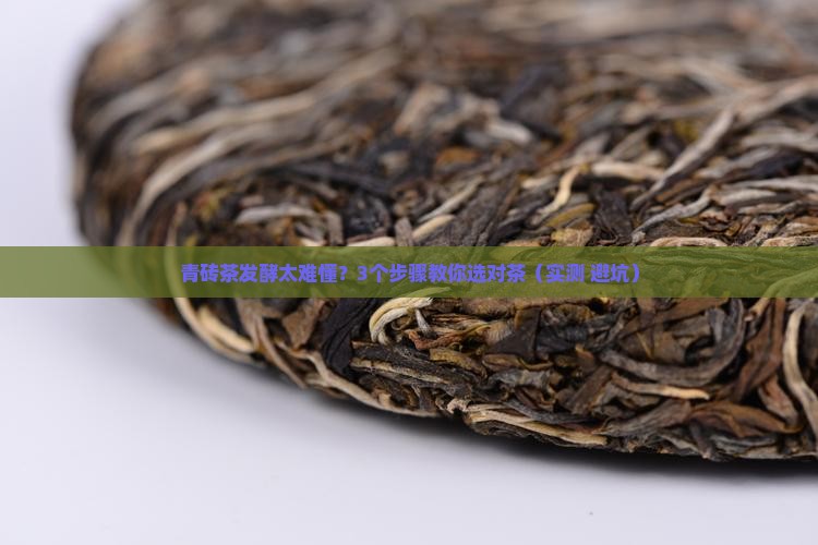 青砖茶发酵程度