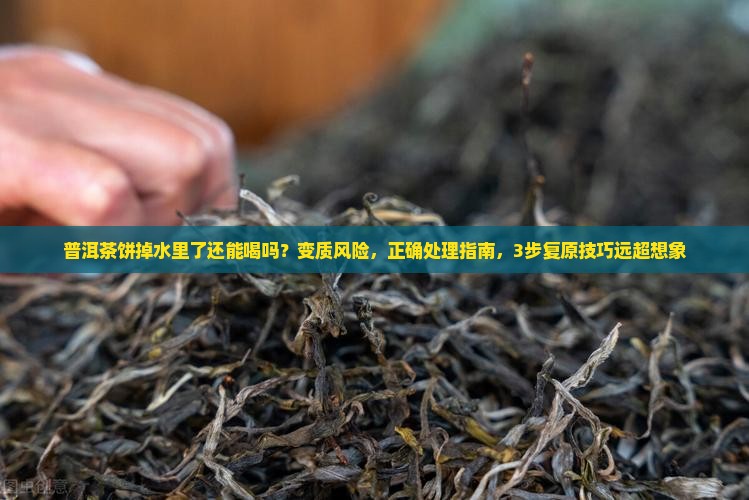 普洱茶饼掉水里了还能喝吗