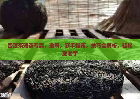普洱茶熟茶专卖