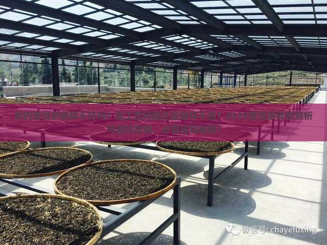 买的普洱茶很碎不好吗怎么回事