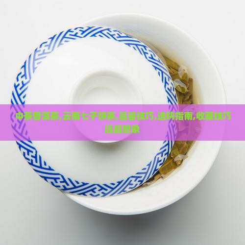 中茶普洱茶云南七子饼茶
