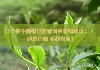 网上实惠的普洱茶品牌