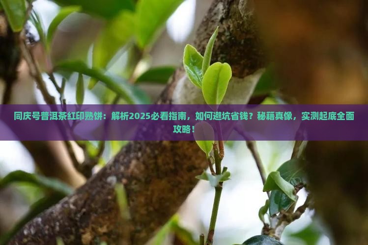 同庆号普洱茶红印熟饼