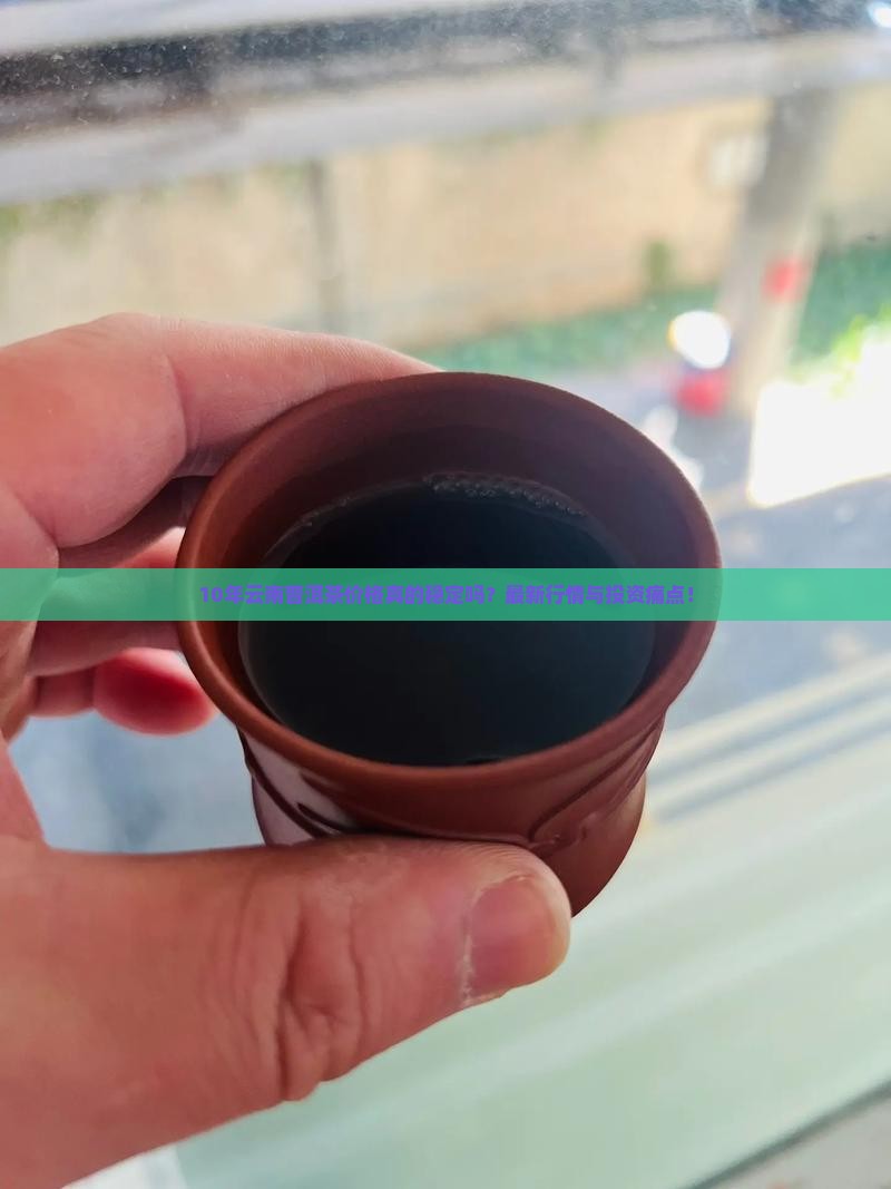 10年云南普洱茶价格表