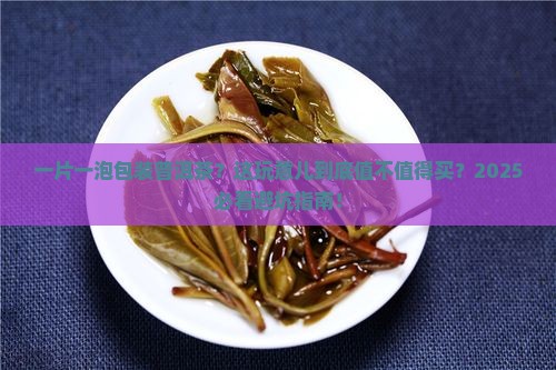 一片一泡独立包装普洱茶