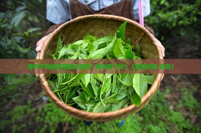 储存不当的普洱茶