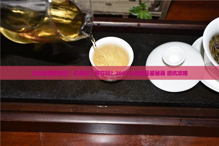 冰岛普洱茶品牌昔归