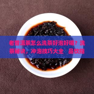 老普洱茶怎么洗茶好泡好喝