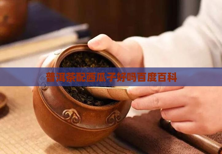 普洱茶配西瓜子好吗百度百科