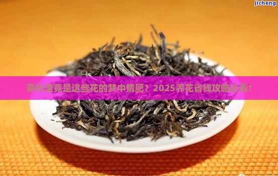 什么花喜欢茶叶渣