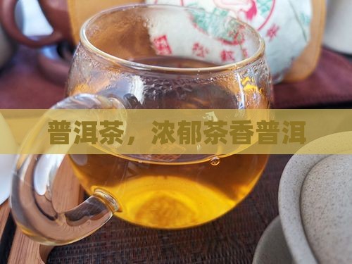 浓郁茶香普洱茶