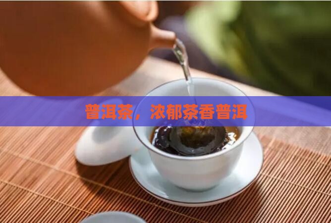 浓郁茶香普洱茶