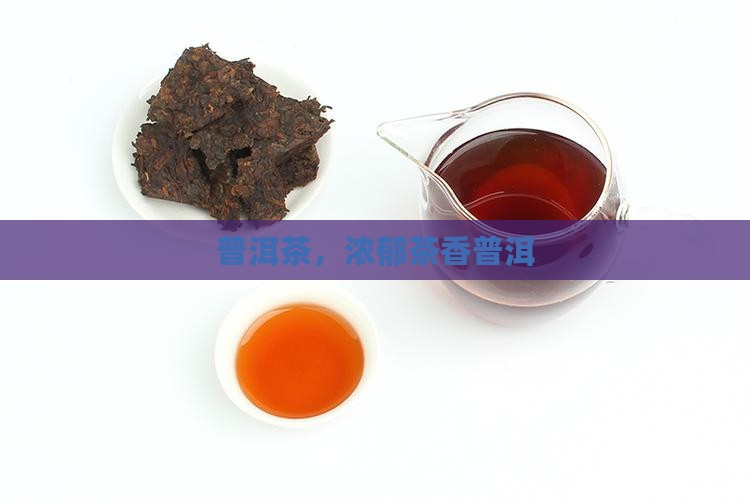 浓郁茶香普洱茶