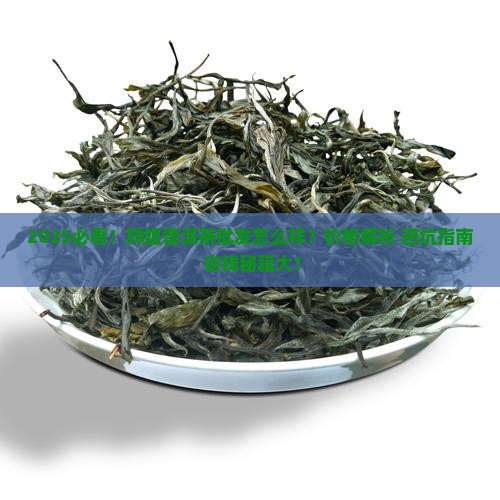 胖姐普洱茶批发怎么样