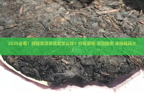 胖姐普洱茶批发怎么样