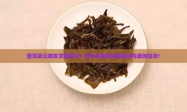 普洱茶云南发货