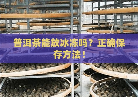 普洱茶能放冰冻吗
