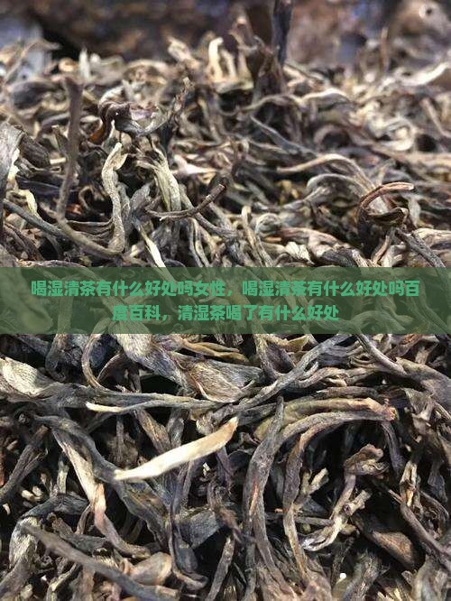 喝湿清茶有什么好处吗