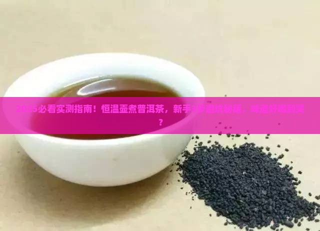 恒温壶煮普洱茶