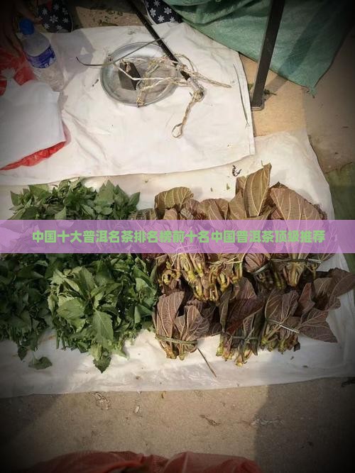 中国十大普洱名茶排名榜前十名