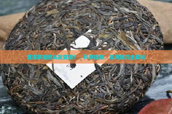 普洱茶能把头发变黑