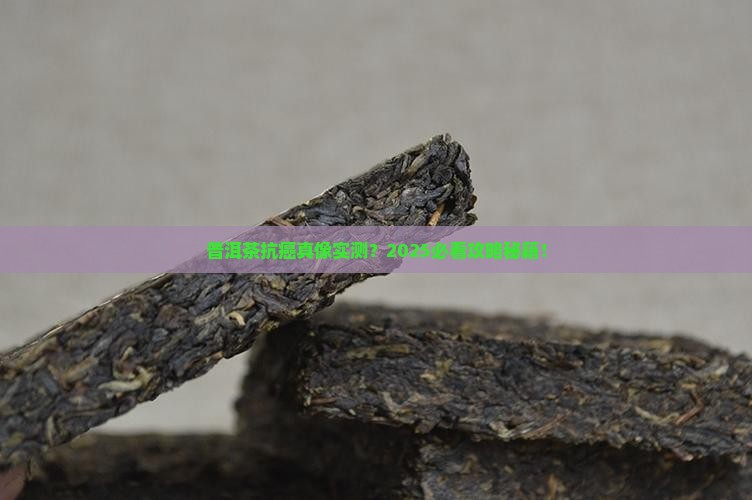 普洱茶抗癌的依据