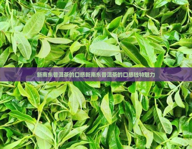 新南东普洱茶的口感
