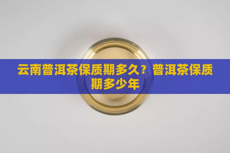 云南普洱茶有保质期吗多少年