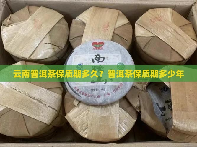 云南普洱茶有保质期吗多少年