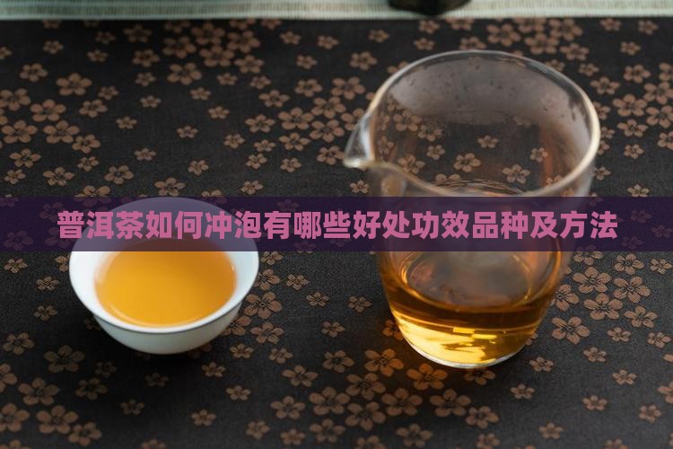 普洱茶如何冲泡有哪些