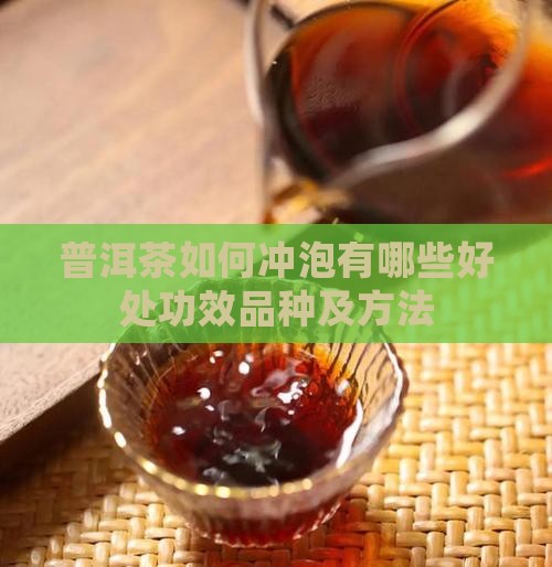普洱茶如何冲泡有哪些