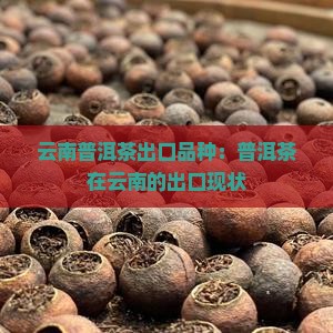 云南省普洱茶出口品种