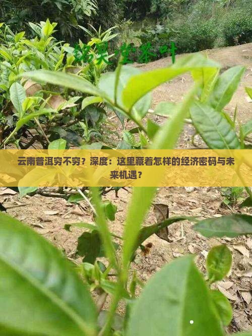 云南普洱穷不穷