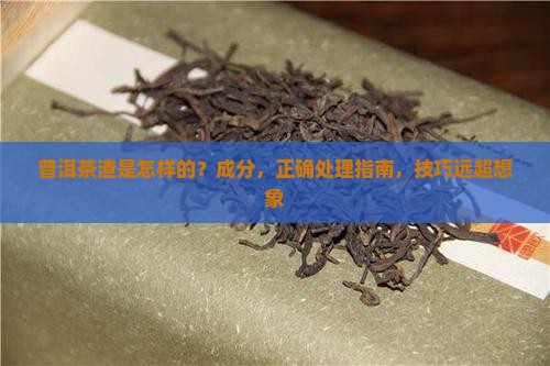 普洱茶渣是怎样的