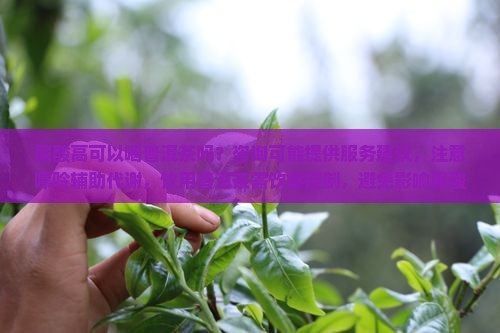 尿酸高吃普洱茶好吗